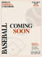 Men‘s Baseball Module